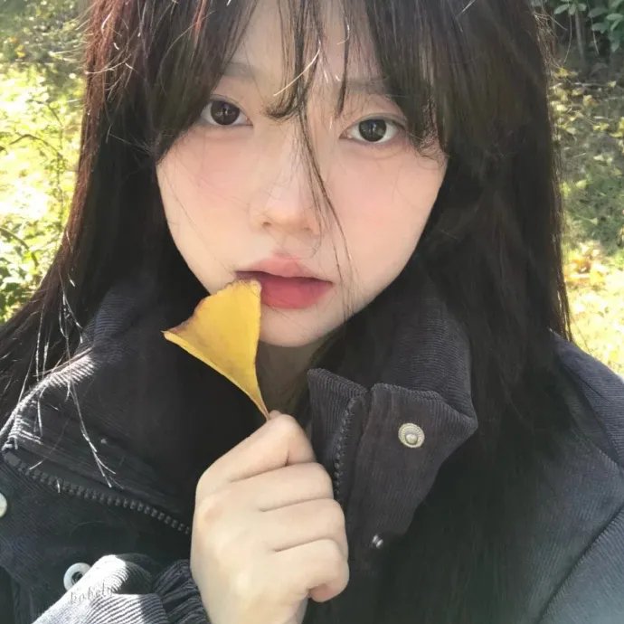手可摘星辰